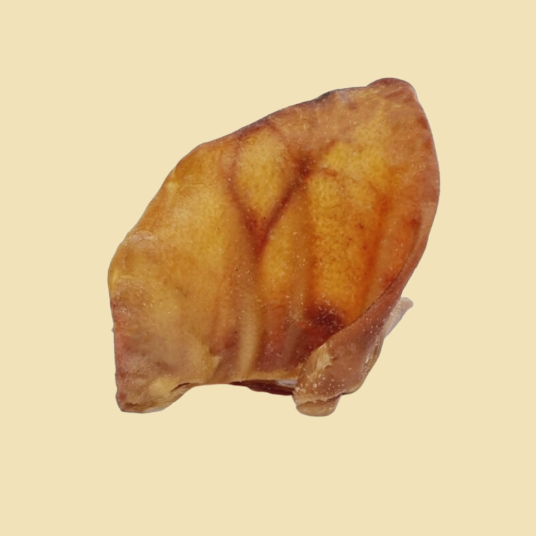 Oreilles de porc ibérique