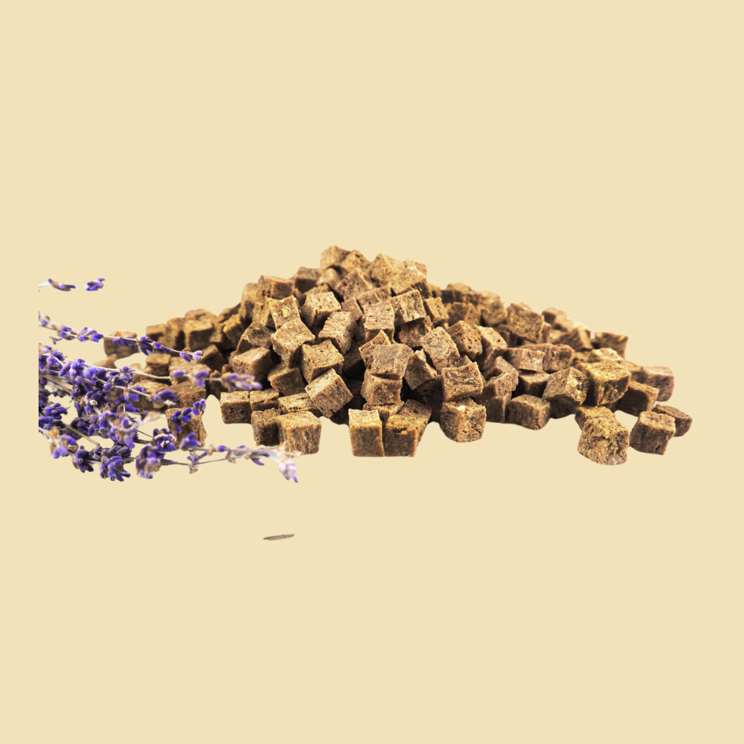 Relax Snack Lapin