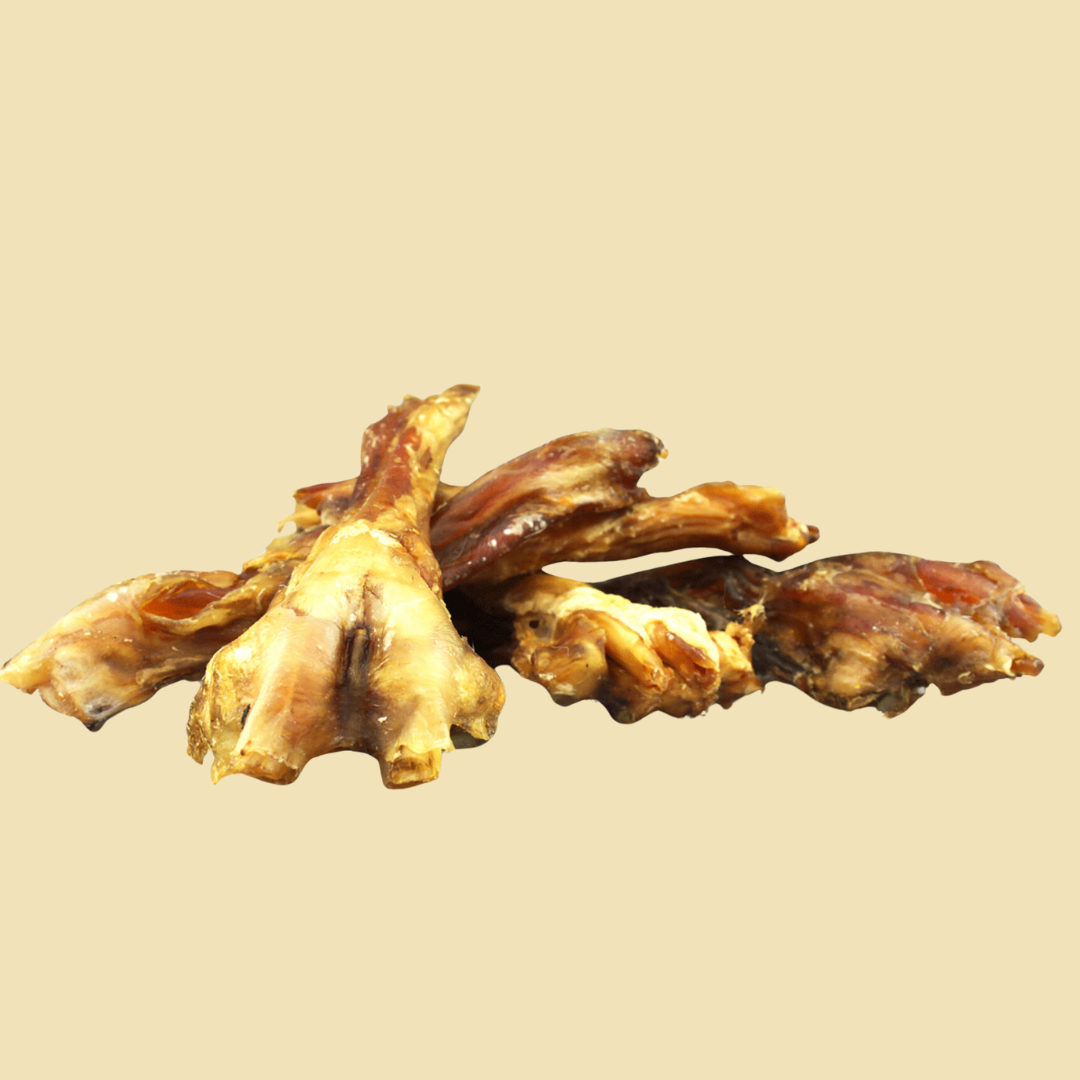 Tendon d'Achille Boeuf