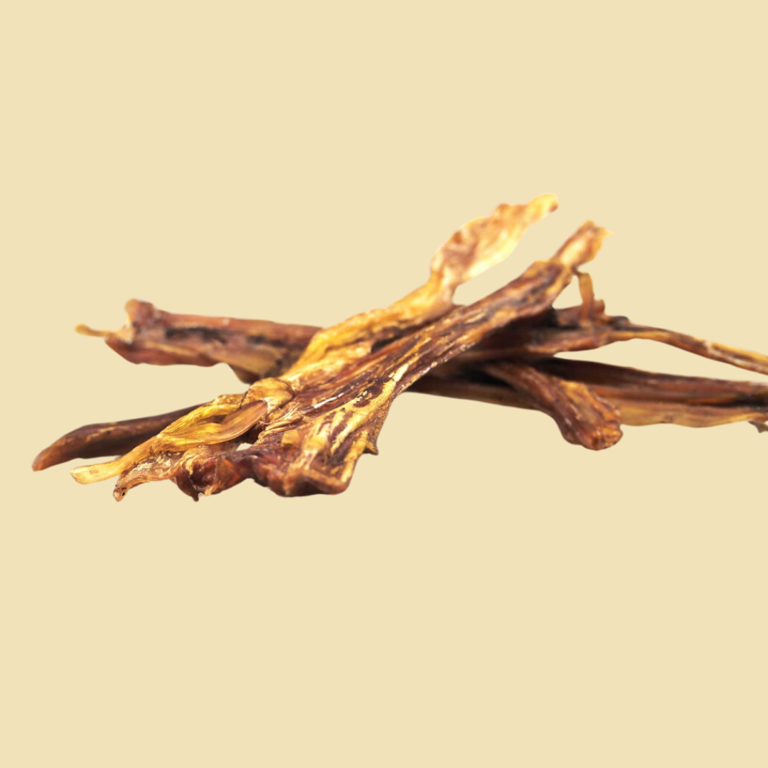 Tendons de Cheval