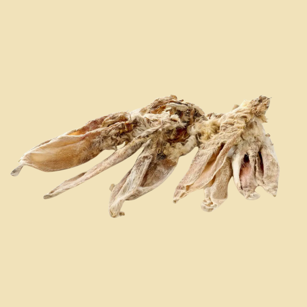 Oreilles de lapin (fourrure)