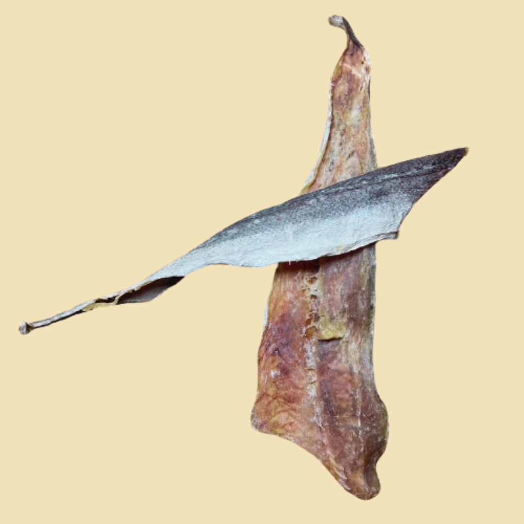 Filet de Merlu