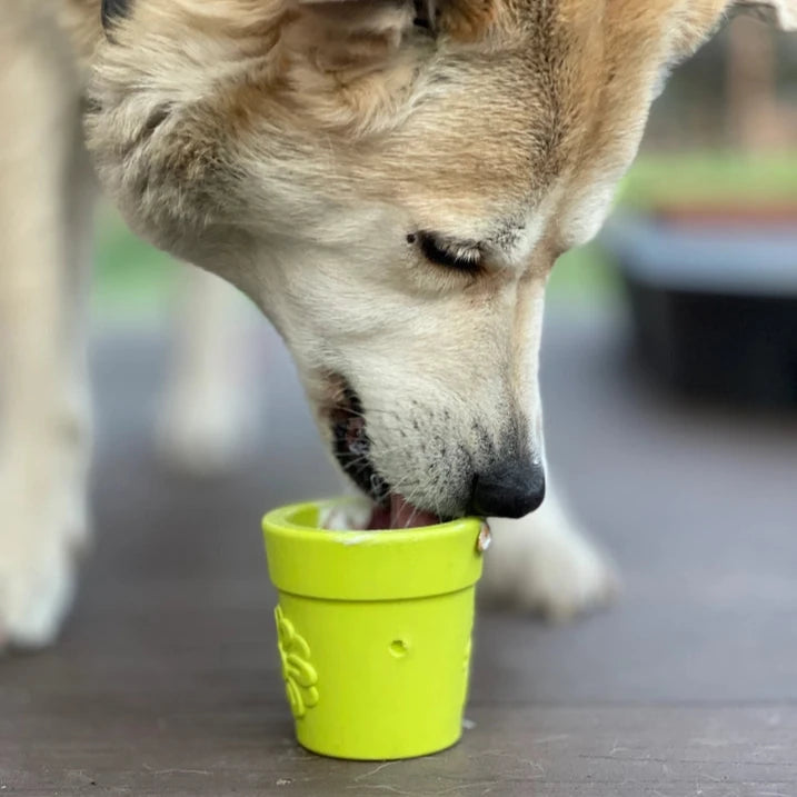 Beurre de Cacahuète Dogtastic - Baies et Miel