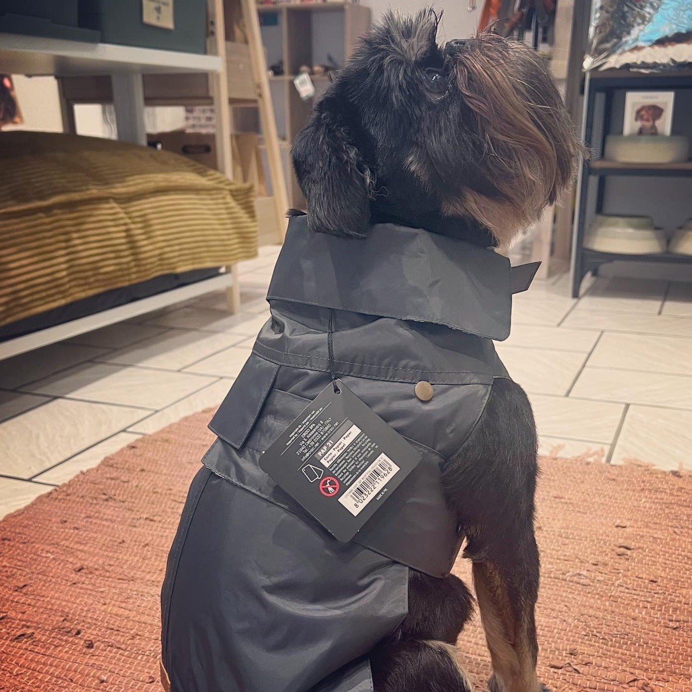 Manteau imperméable pour chien - doublé