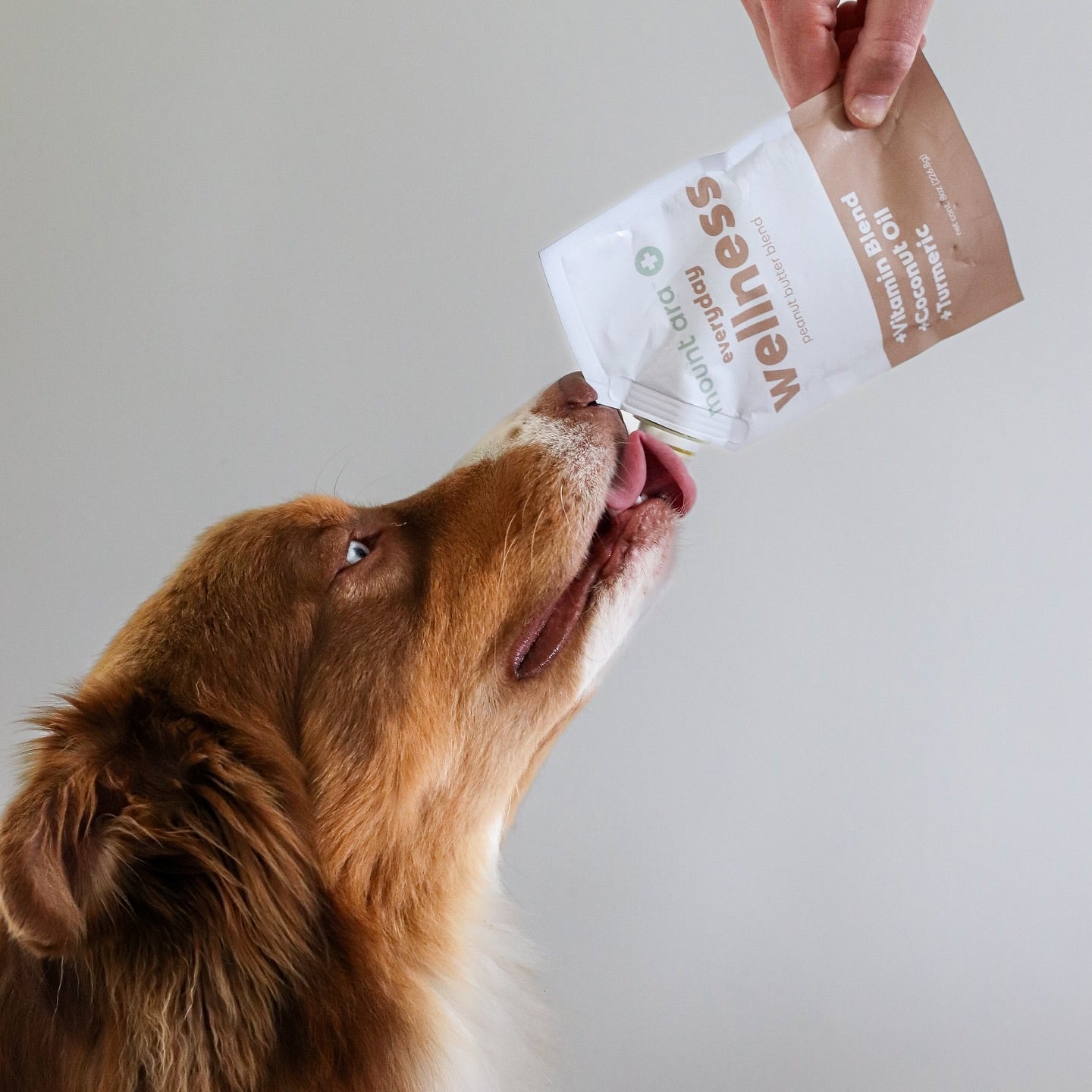 Beurre de cacahuètes pour chien - Everyday Wellness