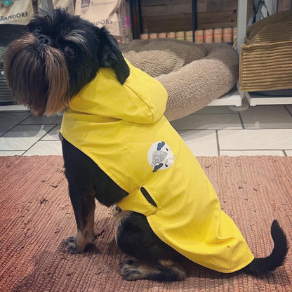 Manteau imperméable pour chien