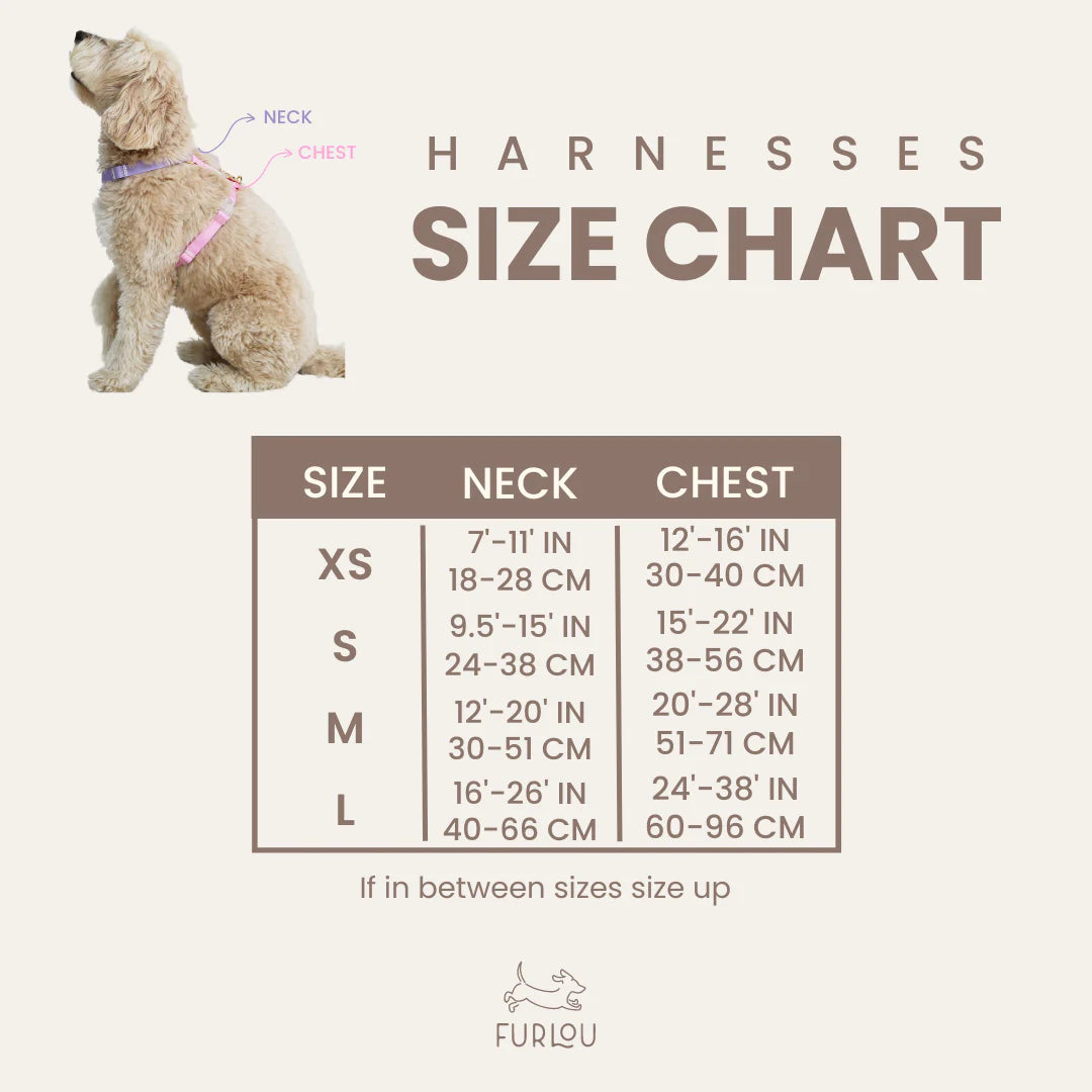 Harnais pour chien en sherpa
