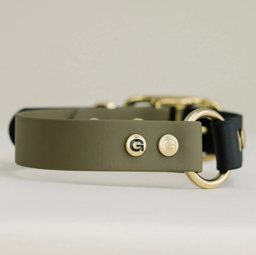 Hondenhalsband - 5 kleuren