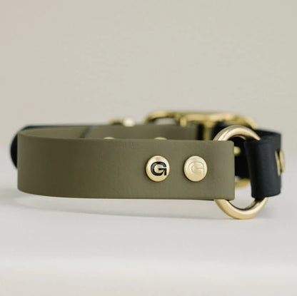 Hondenhalsband - 5 kleuren