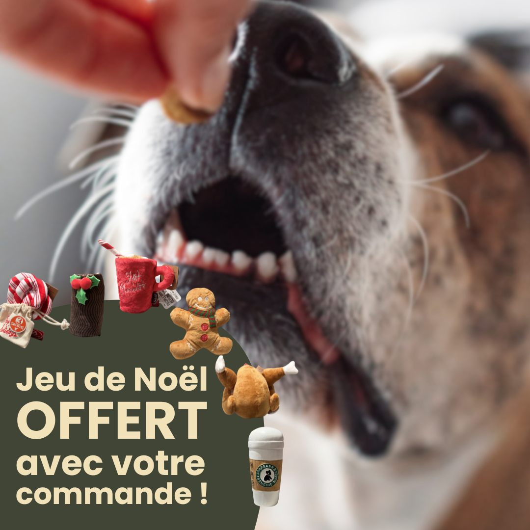 Cadeau de Noël - Offert