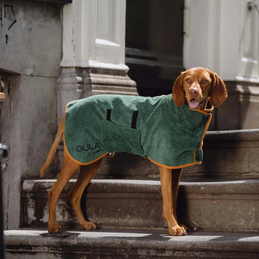 Peignoir pour chien - Vert et orange