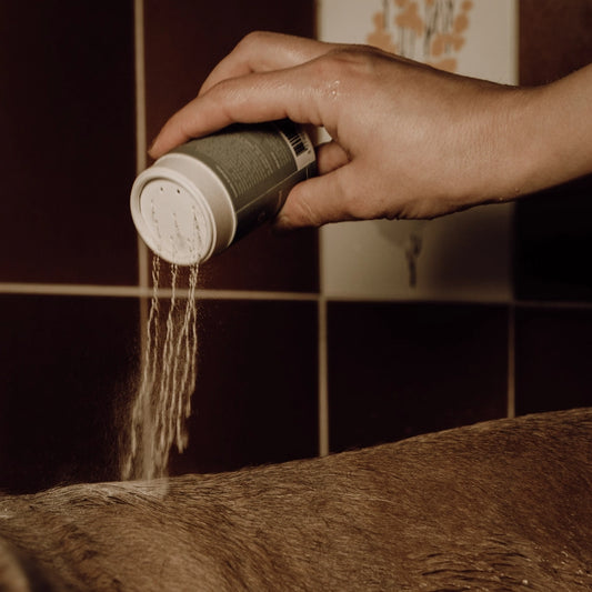 Shampoing pour Chien - Poudre Moussante